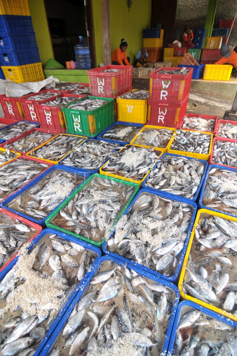 Target Produksi Olahan Ikan Antara Foto