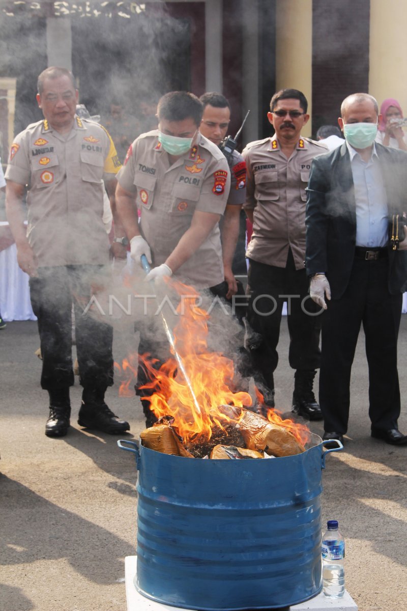 PEMUSNAHAN NARKOTIKA ANTARA Foto