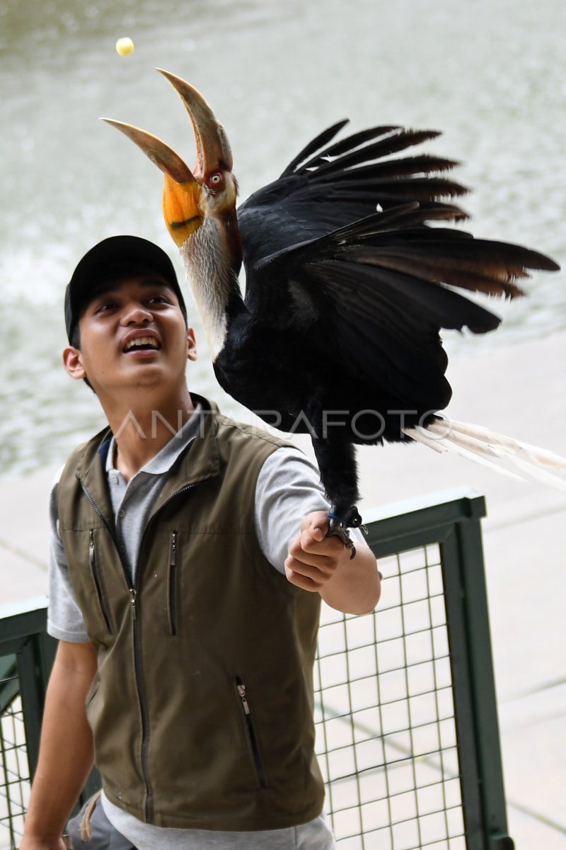 Wisata Jakarta Bird Land Antara Foto