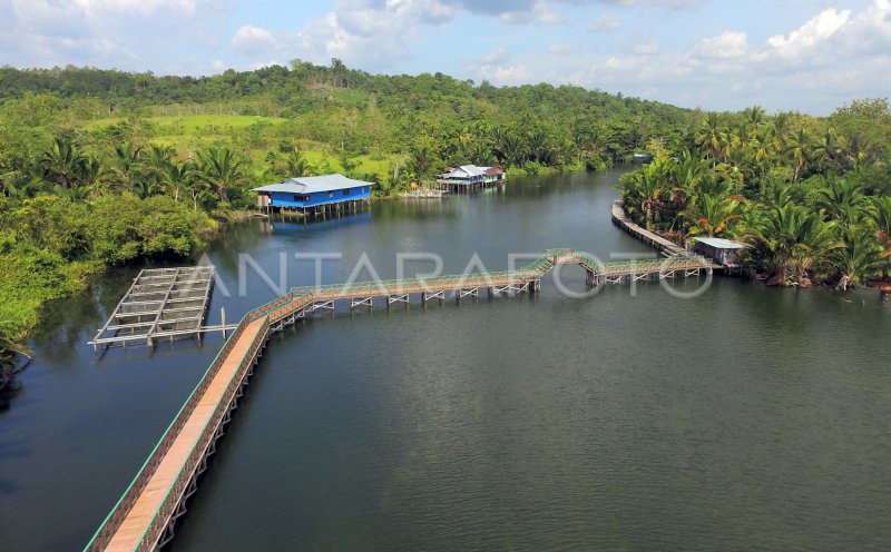 DAERAH PERCONTOHAN EKOWISATA PAPUA ANTARA Foto