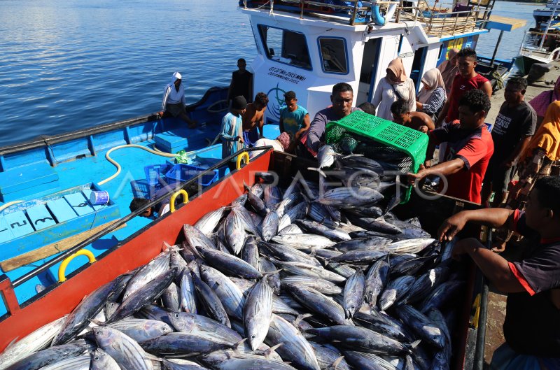 Penangkapan Ikan Secara Terukur Berbasis Kuota Antara Foto