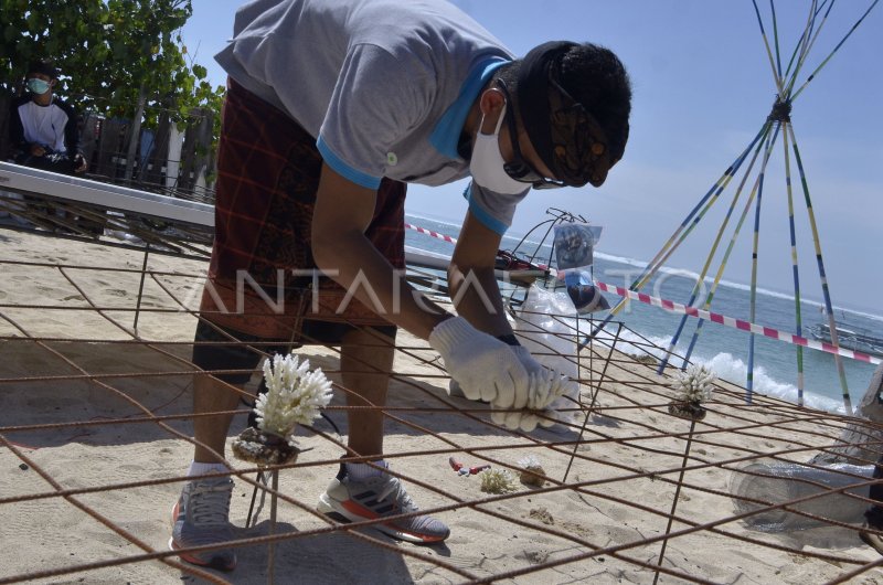 Program Restorasi Terumbu Karang Di Bali Antara Foto