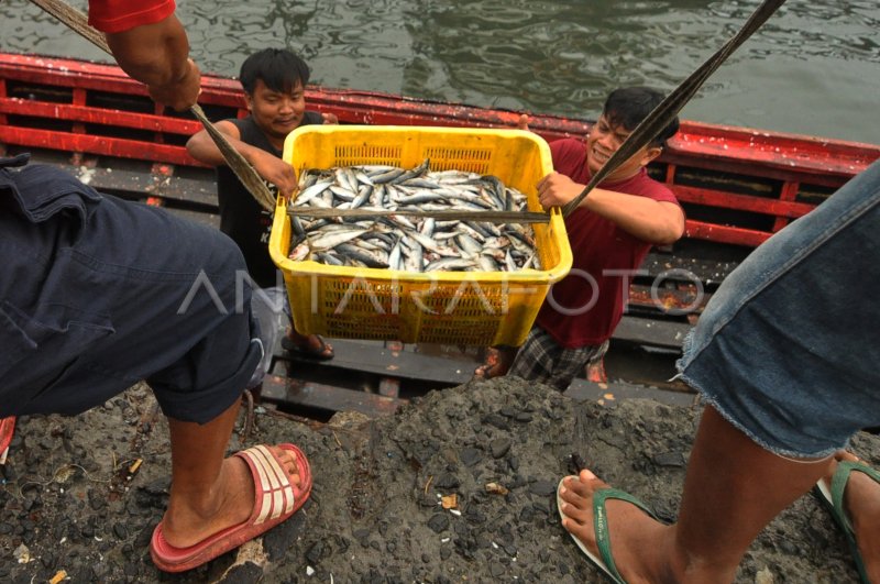 Tangkapan Ikan Menurun Antara Foto