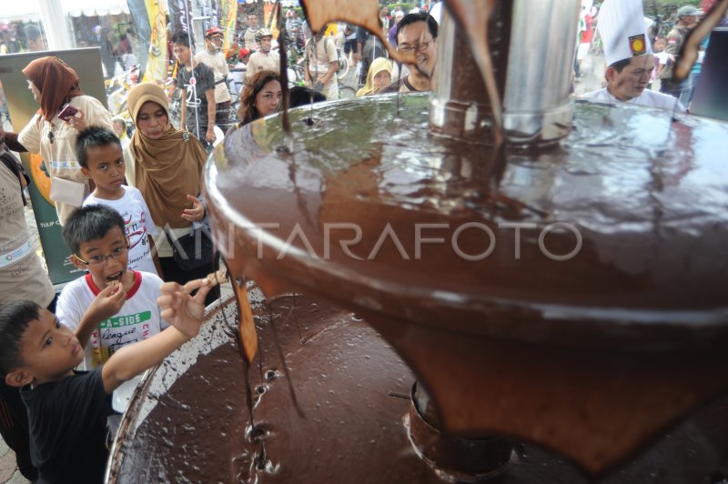 COKLAT INDONESIA ANTARA Foto