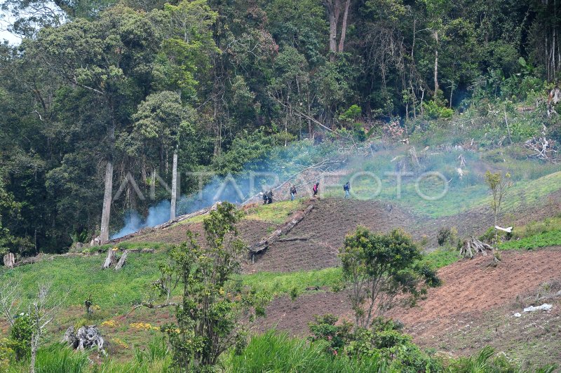 Perambahan Di Taman Nasional Kerinci Seblat Antara Foto