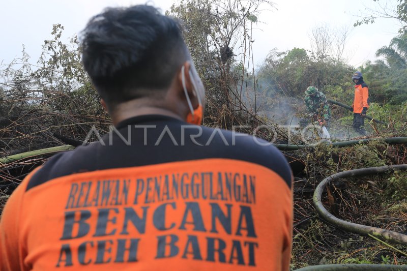 KEBAKARAN LAHAN GAMBUT DI ACEH BARAT DAN NAGAN RAYA ANTARA Foto