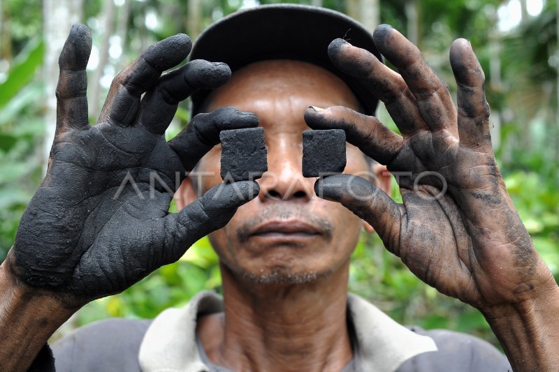 Kisah Pengolah Limbah Pelepah Antara Foto