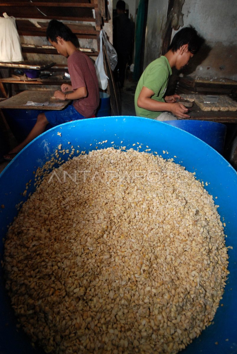 Ukuran Tempe Diperkecil Antara Foto