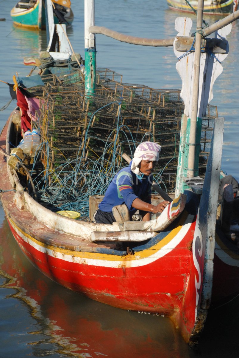 Harga Kepiting Ekspor Naik Antara Foto