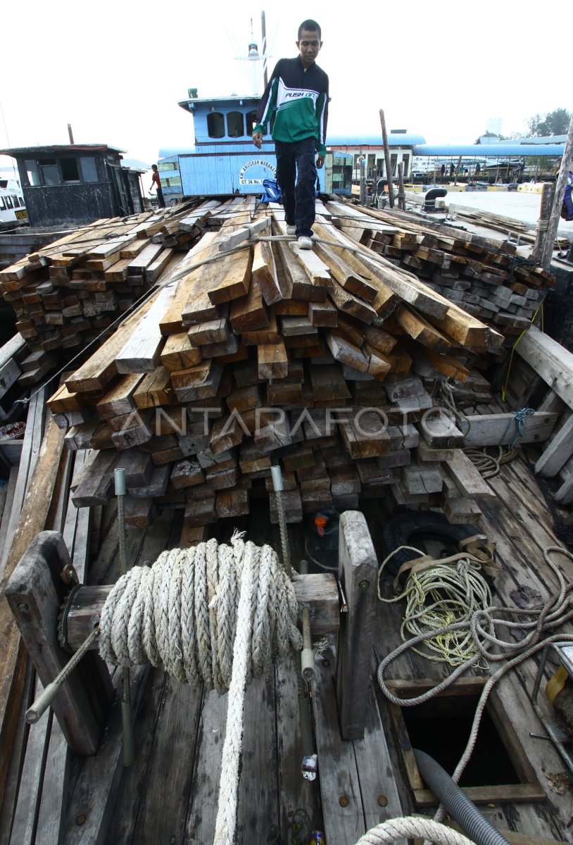 Penyelundupan Kayu Batam Antara Foto