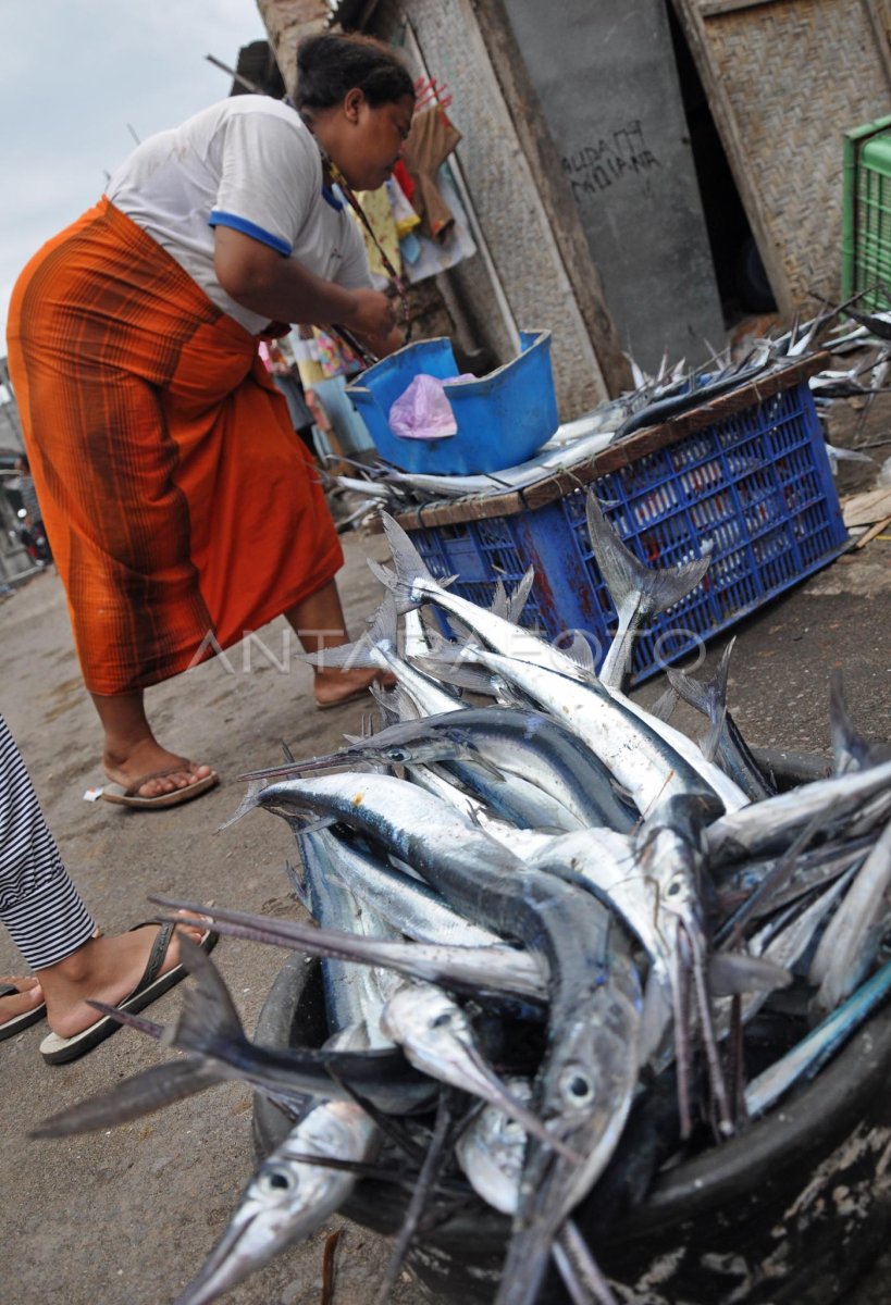 Harga Ikan Naik Antara Foto