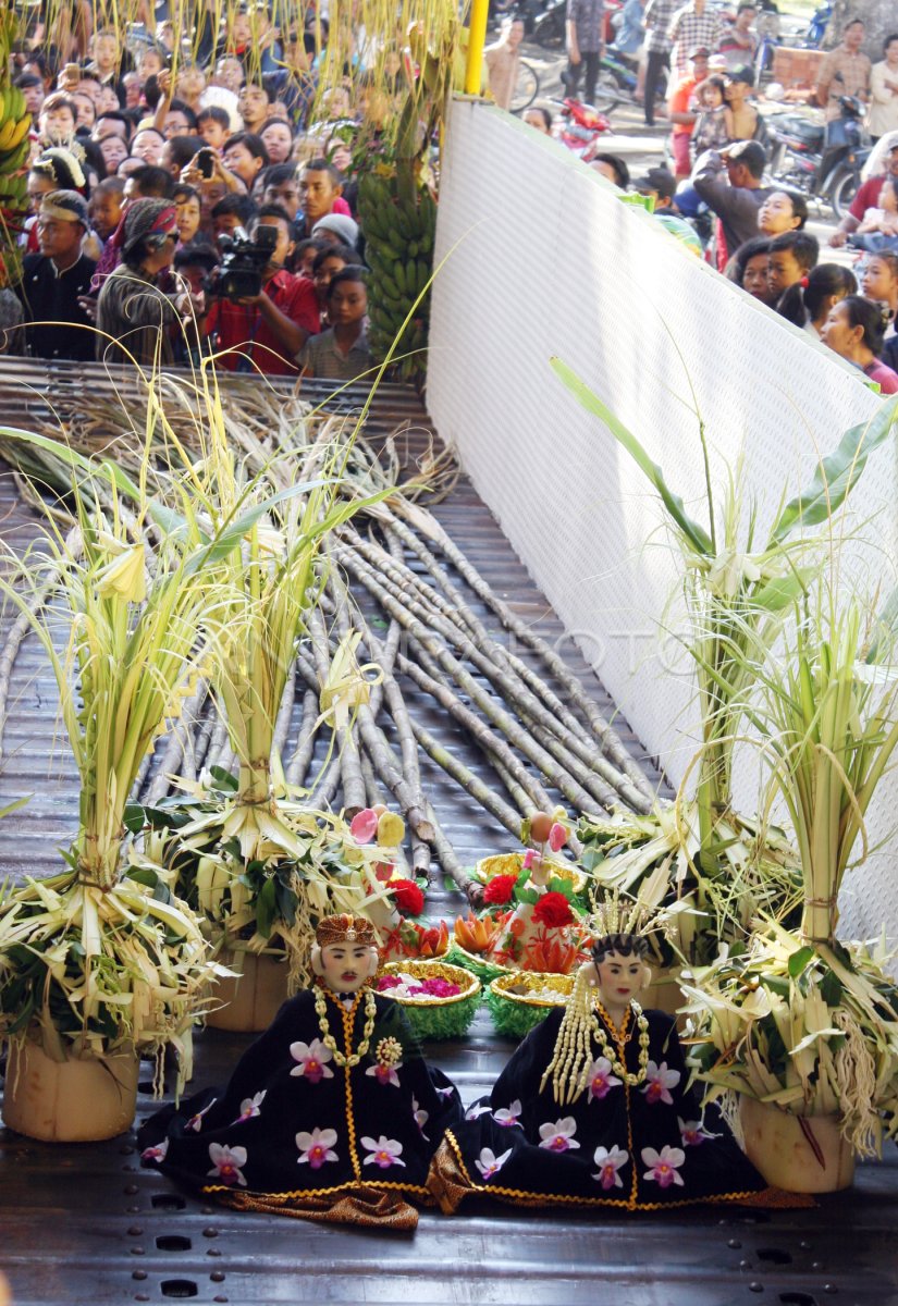 RITUAL PENGANTIN TEBU TULUNGAGUNG ANTARA Foto