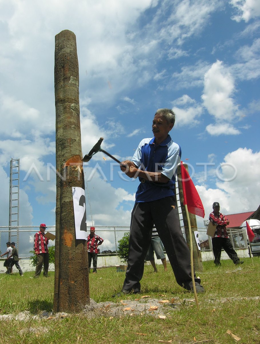 LOMBA TEBANG KAYU ANTARA Foto