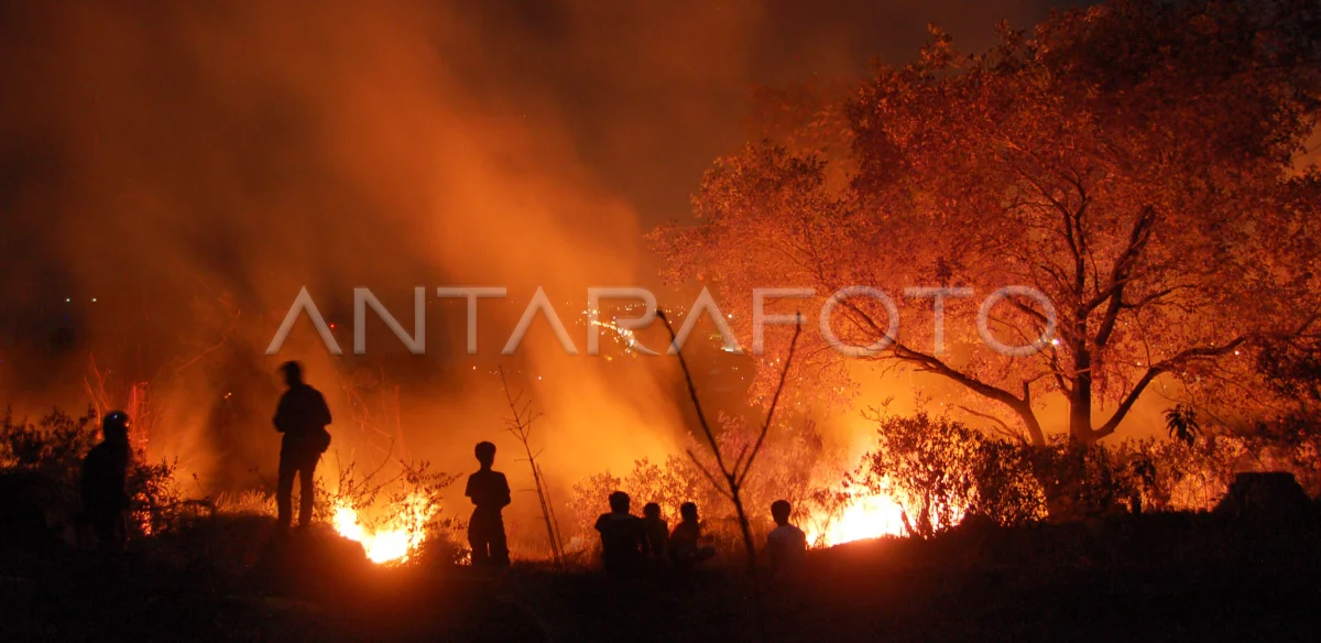 Delapan Hektar Lahan Seputar Kampus UIN Antasari Terbakar