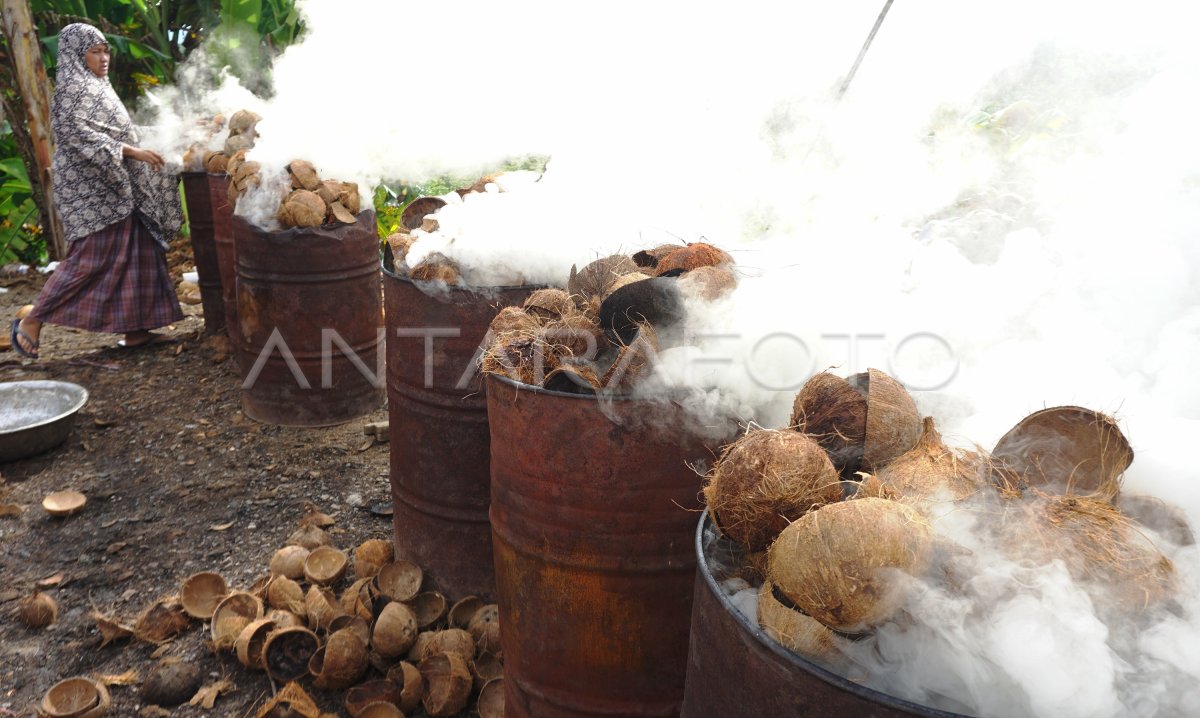 Produksi Arang Tempurung Kelapa Antara Foto 9568