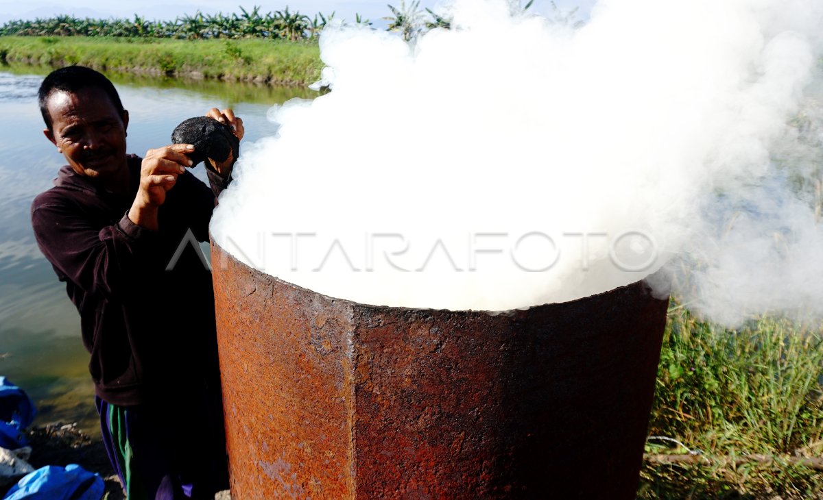 Produksi Briket Dari Arang Tempurung Kelapa Antara Foto 8793