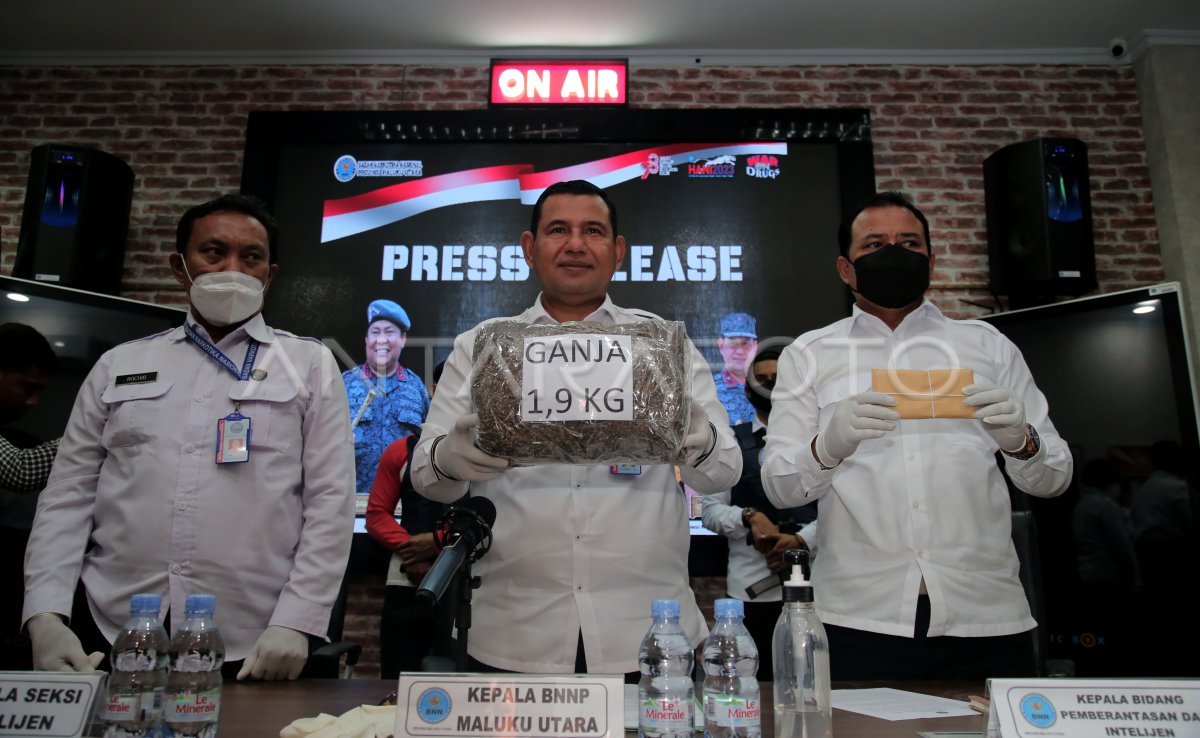 Rilis kasus peredaran ganja di Ternate
