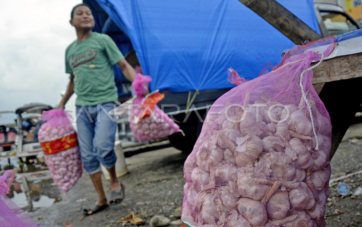 KENAIKAN HARGA BAWANG PUTIH | ANTARA Foto