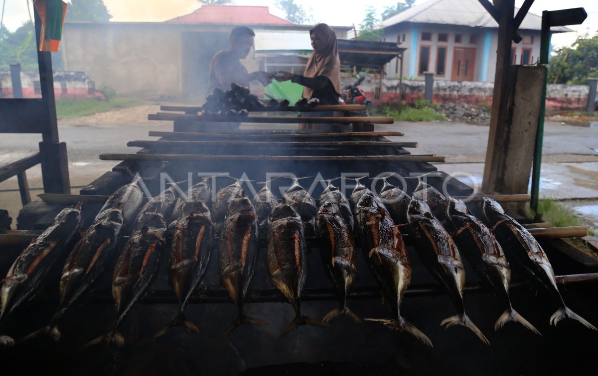 Produksi Ikan Cakalalang Fufu Terkendala Bahan Baku Antara Foto