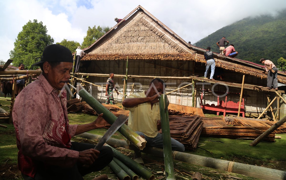 Gotong royong membenahi Rumah Adat Sowohi Kie Matiti | ANTARA Foto