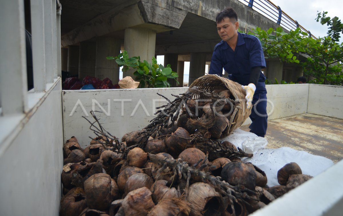 Distribusi Sampah Untuk Bahan Bakar Alternatif Di Padang | ANTARA Foto