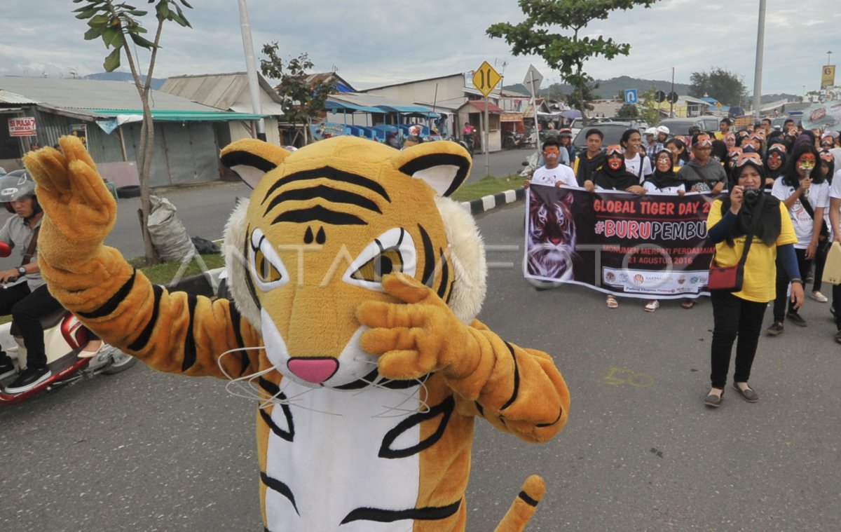 Kampanye Selamatkan Harimau Antara Foto