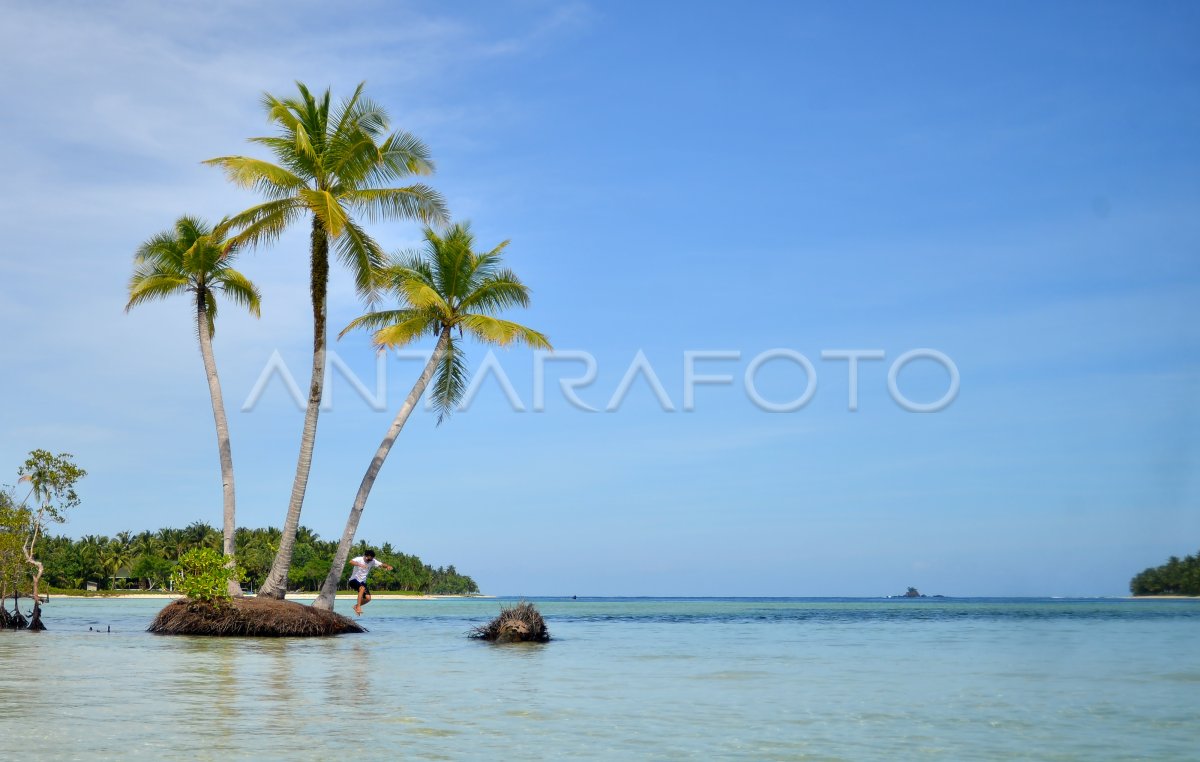 WISATA PULAU DI MENTAWAI | ANTARA Foto