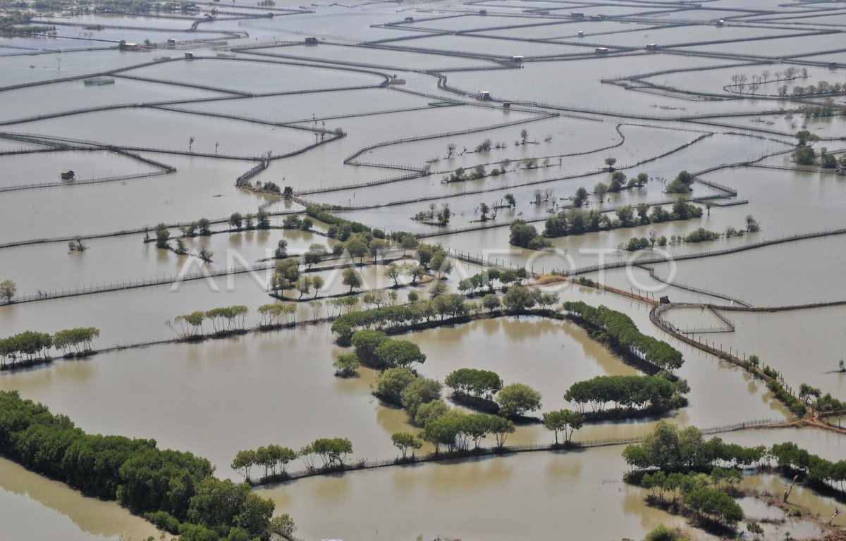TERANCAM RUSAK | ANTARA Foto