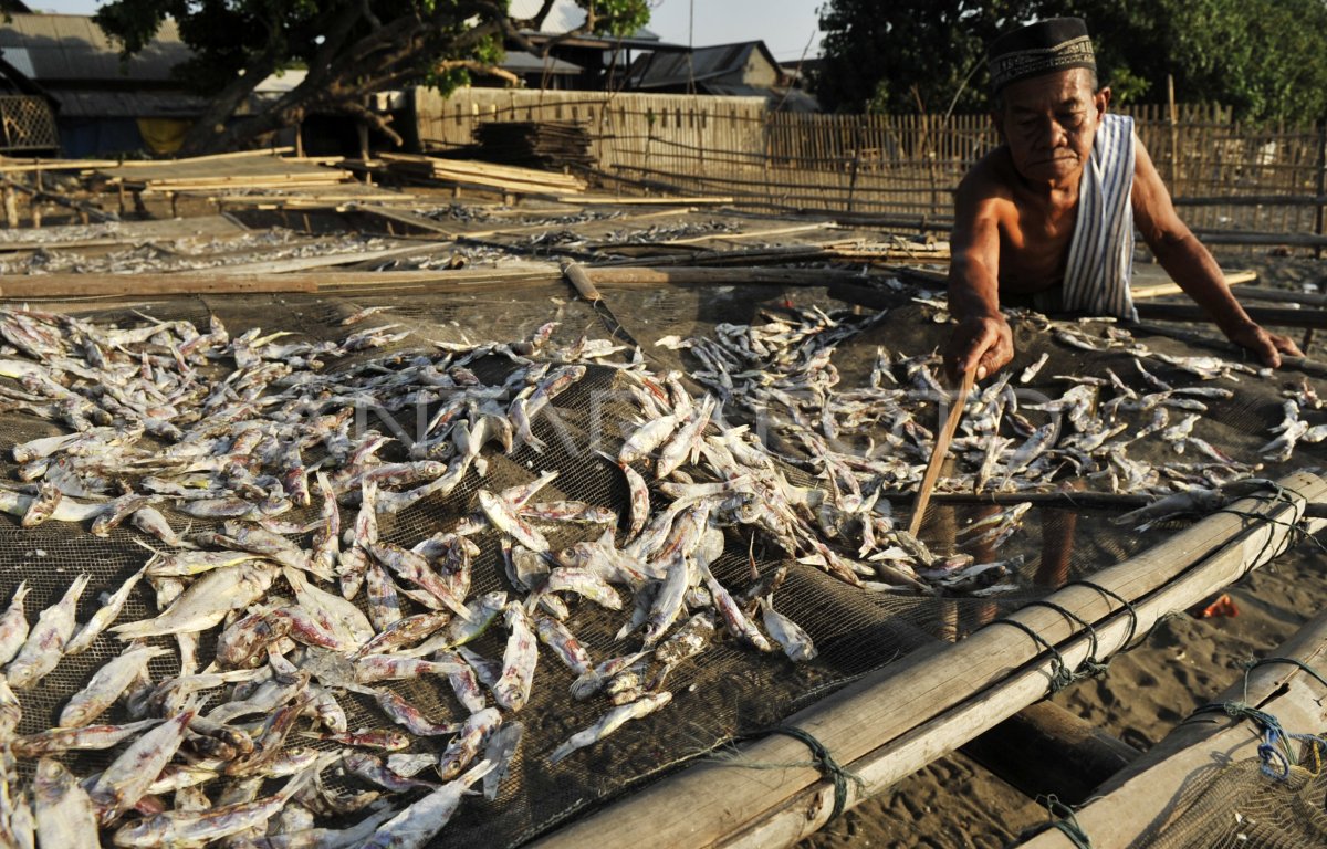 IKAN KERING | ANTARA Foto