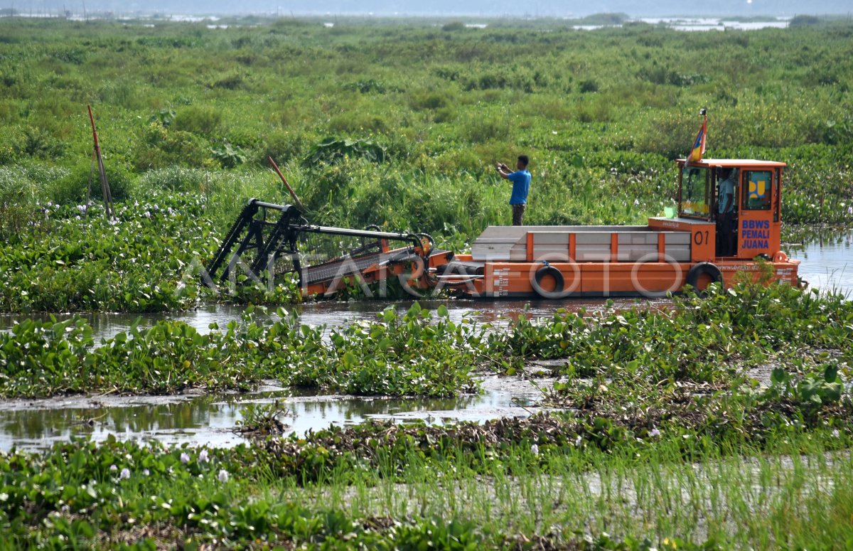 Kendala Revitalisasi Danau Rawa Pening Antara Foto 