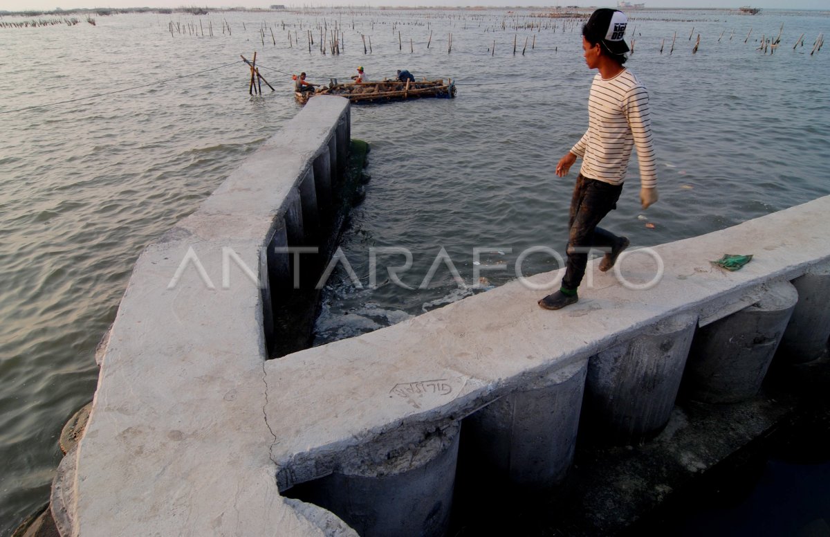 PEMBANGUNAN SABUK PANTAI SEMARANG | ANTARA Foto