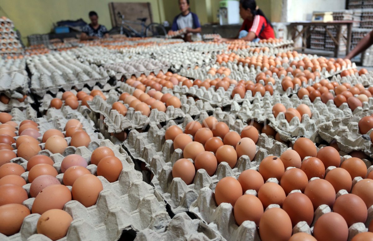 HARGA JUAL TELUR RENDAH | ANTARA Foto