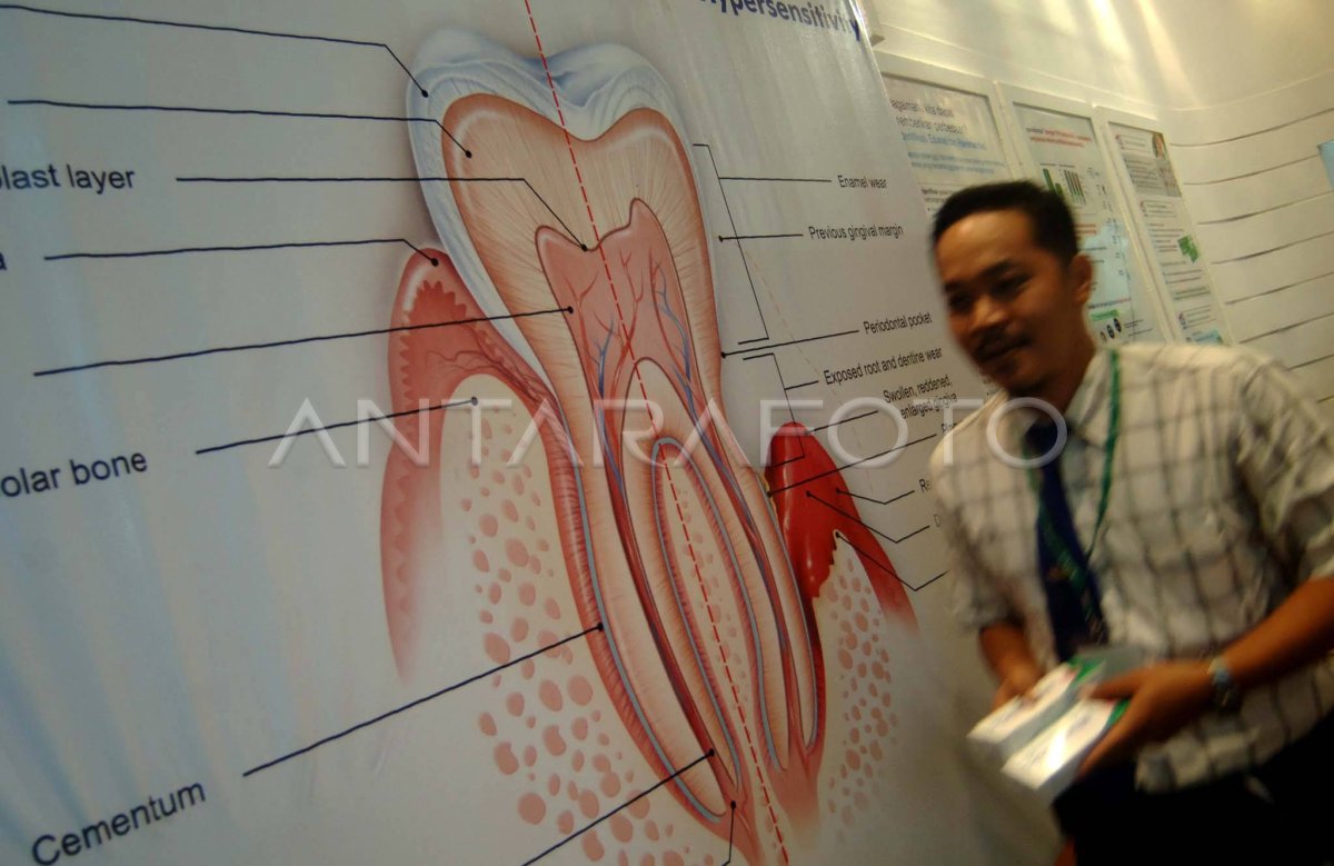 Teknologi Kedokteran Gigi Antara Foto