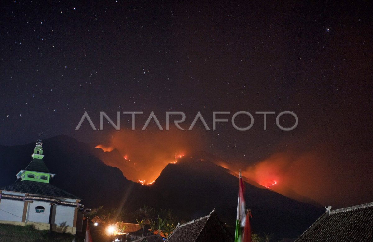 KEBAKARAN GUNUNG MERBABU | ANTARA Foto