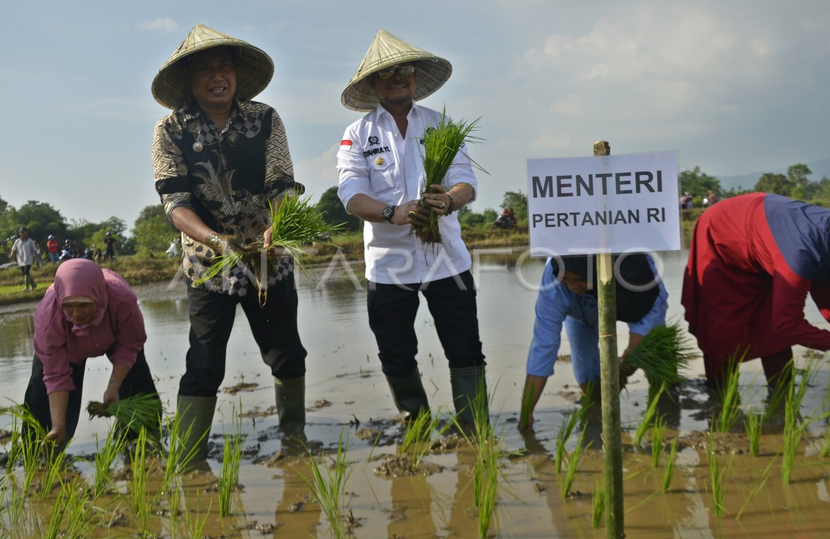 Mentan tanam padi di Takalar
