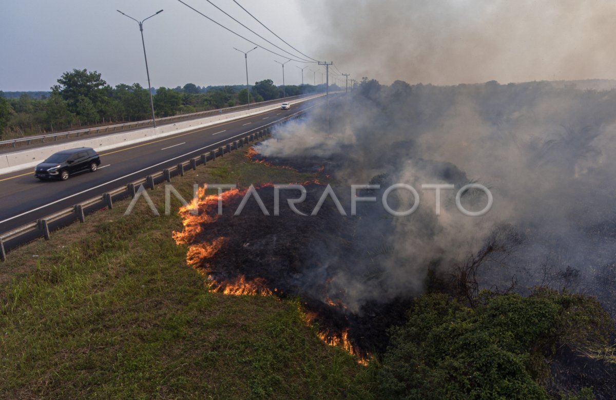 Kebakaran lahan di Palem Raya