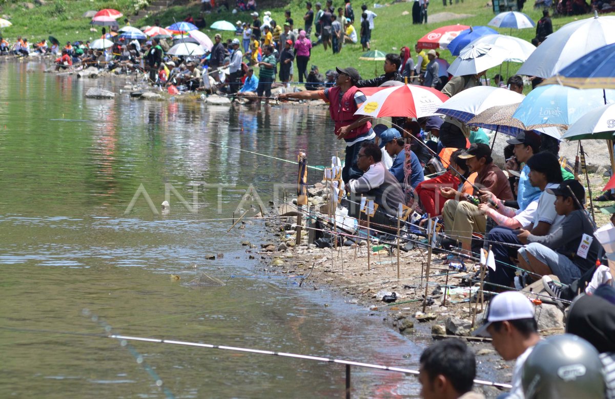 Ikuti Serunya Lomba Mancing Nasional 2025: Tantangan dan Hadiah Menarik Ikuti Serunya Lomba Mancing Nasional 2025: Tantangan dan Hadiah Menarik