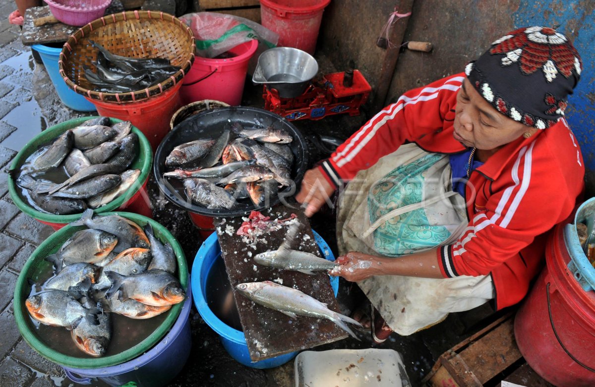 Produksi Ikan Antara Foto