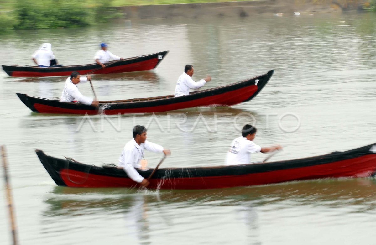 Lomba Perahu Dayung Tradisional Antara Foto