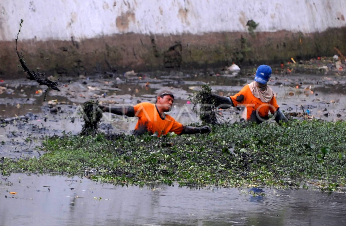 Pendangkalan Sungai Ciliwung Antara Foto 1063