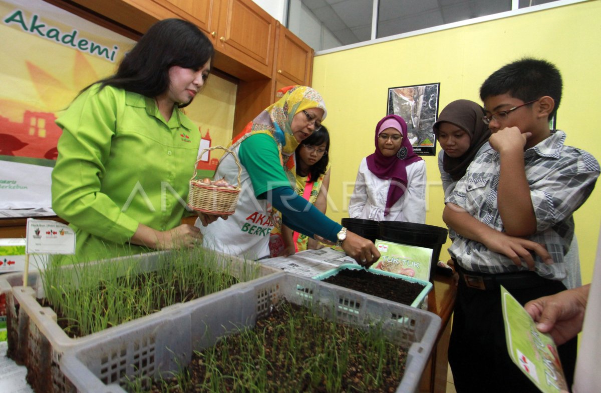 PEMANFAATAN LAHAN PEKARANGAN | ANTARA Foto