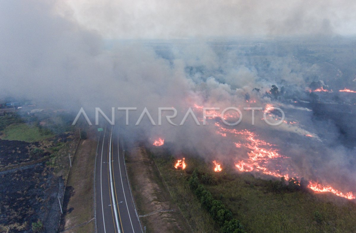 Kebakaran lahan di samping tol Palembang-Indralaya