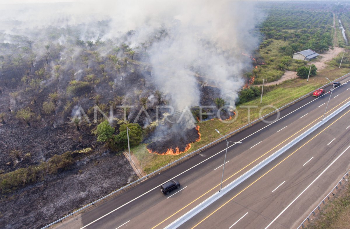 Kebakaran lahan di Palem Raya