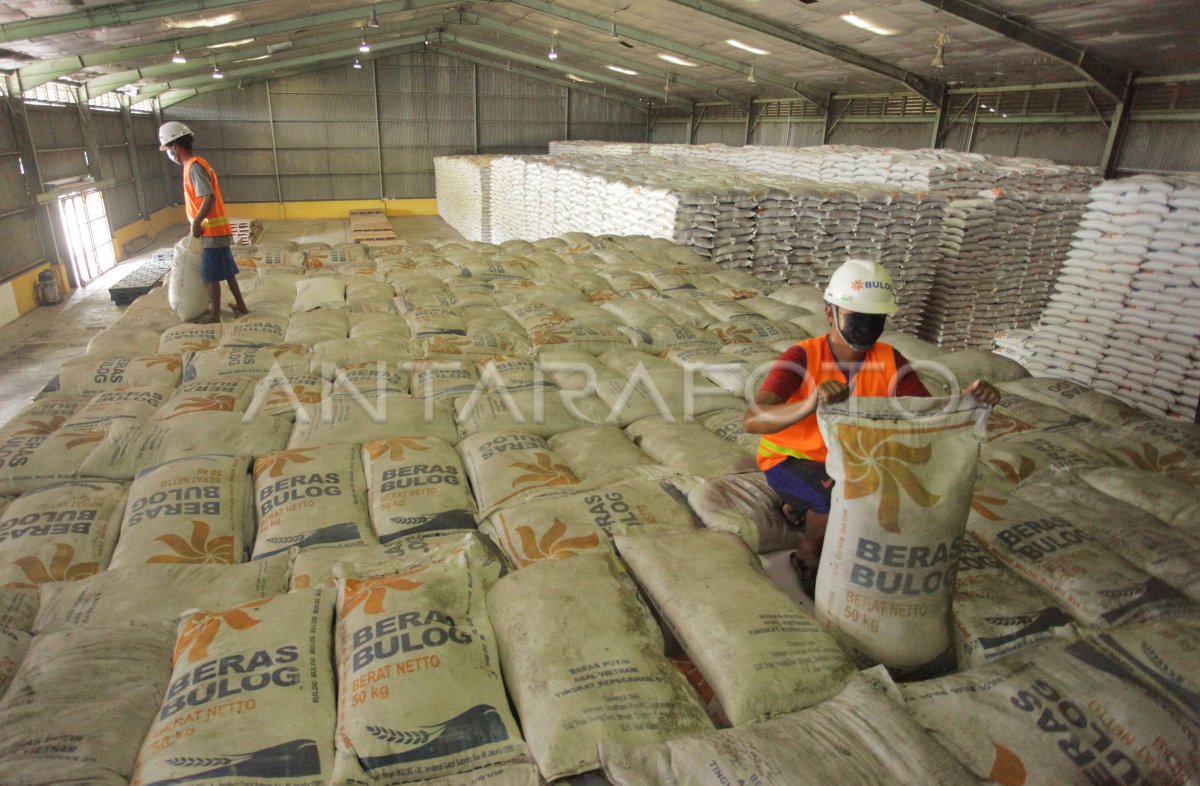 PENGADAAN STOK BERAS BULOG DARI DALAM NEGERI ANTARA Foto