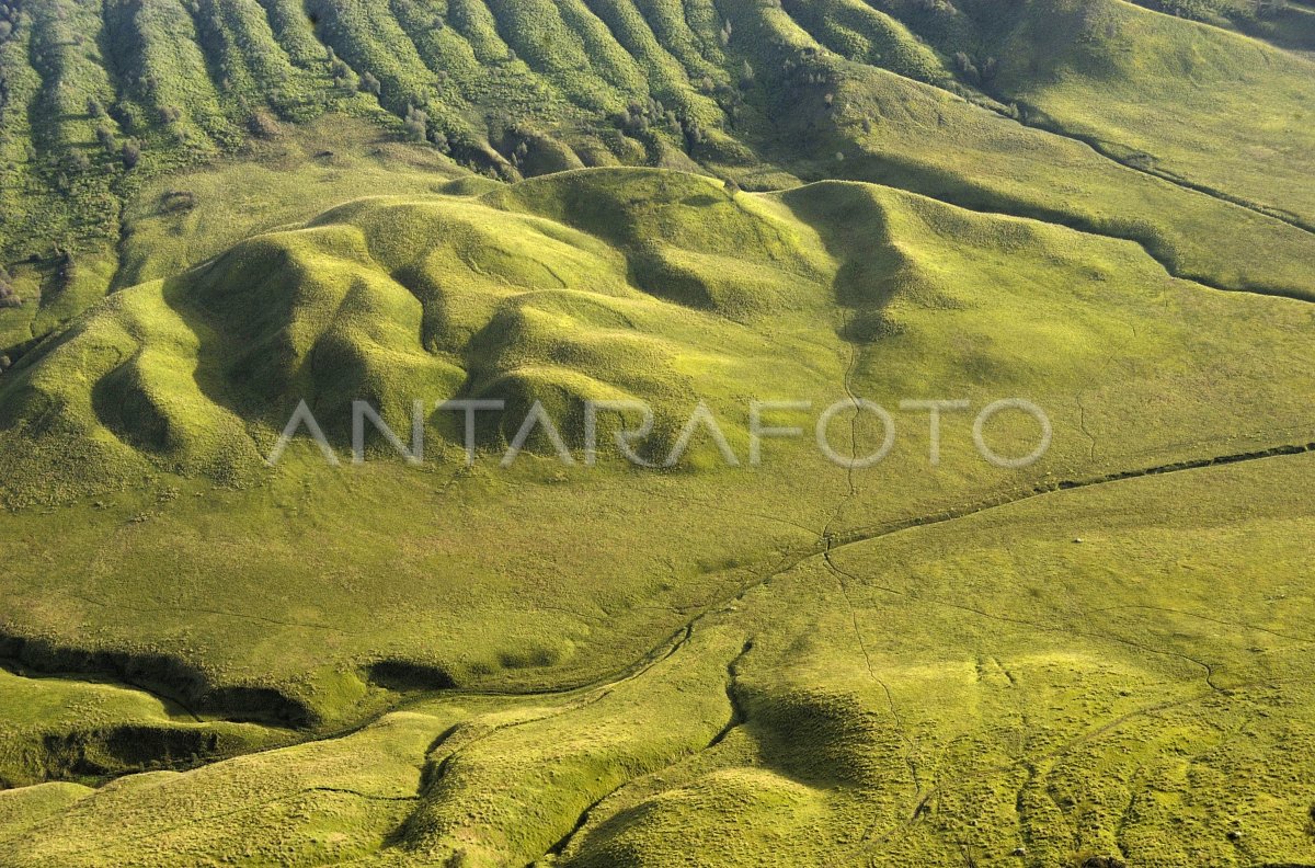 BUKIT TELETUBBIES | ANTARA Foto