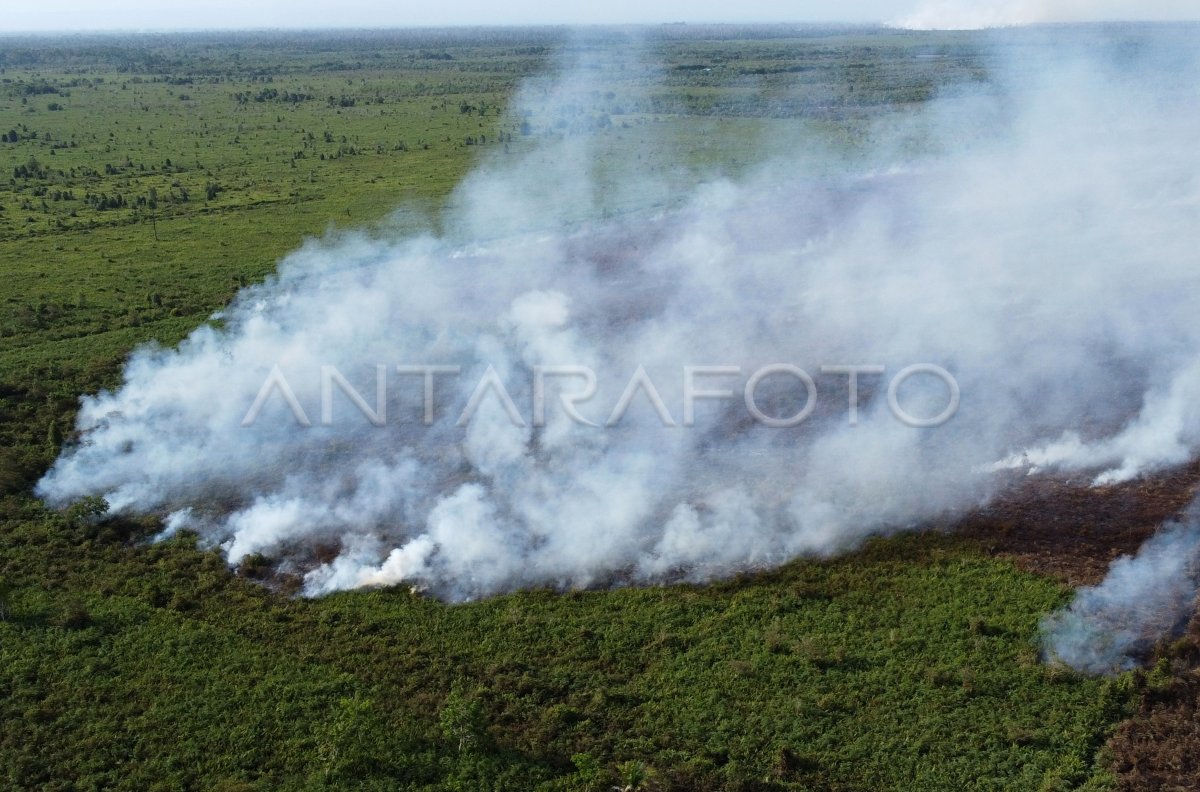 Kebakaran Hutan Dan Lahan Di Aceh Barat Antara Foto 4149