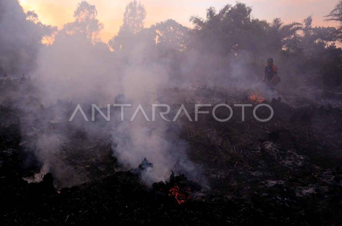 Kebakaran Hutan Dan Lahan Di Aceh Barat Antara Foto