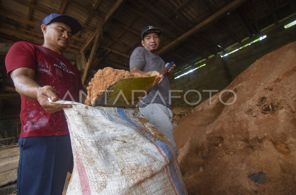 PENGGUNAAN BIOMASSA UNTUK BAHAN BAKAR SUBSTITUSI | ANTARA Foto