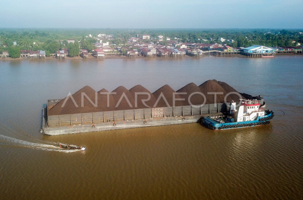 Pendangkalan Muara Sungai Batanghari Antara Foto 4636