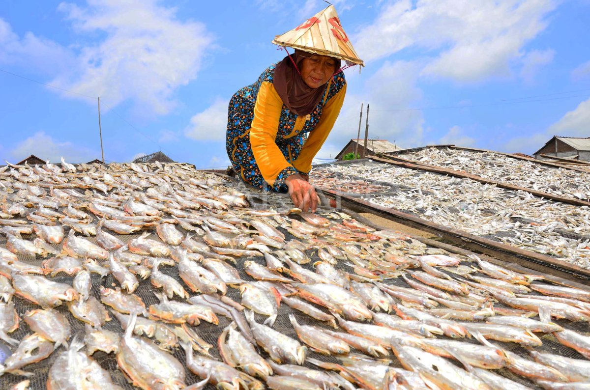 Hasil Tangkapan Ikan Berkurang Antara Foto 6184